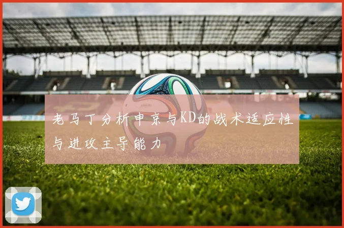 老马丁分析申京与KD的战术适应性与进攻主导能力