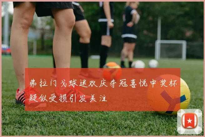 弗拉门戈球迷欢庆夺冠喜悦中奖杯疑似受损引发关注