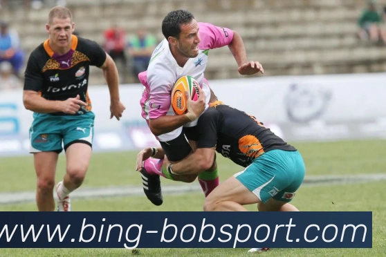 BOB体育APP 体育赛事宣传图